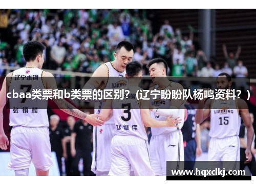 cbaa类票和b类票的区别？(辽宁盼盼队杨鸣资料？)